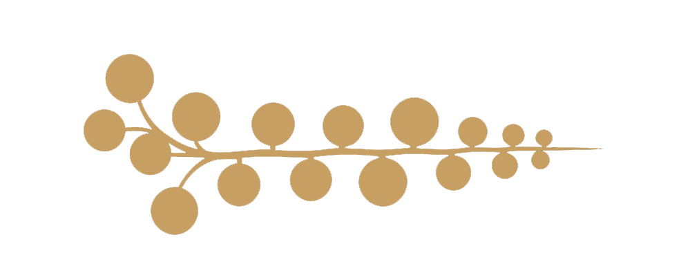 Leipzig – Gohlis / Möckern / Wahren